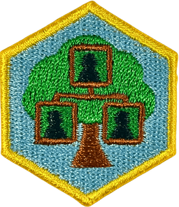 Genealogy