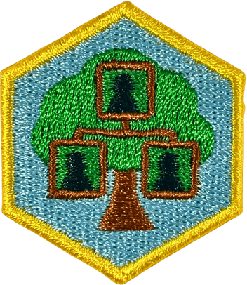 Genealogy