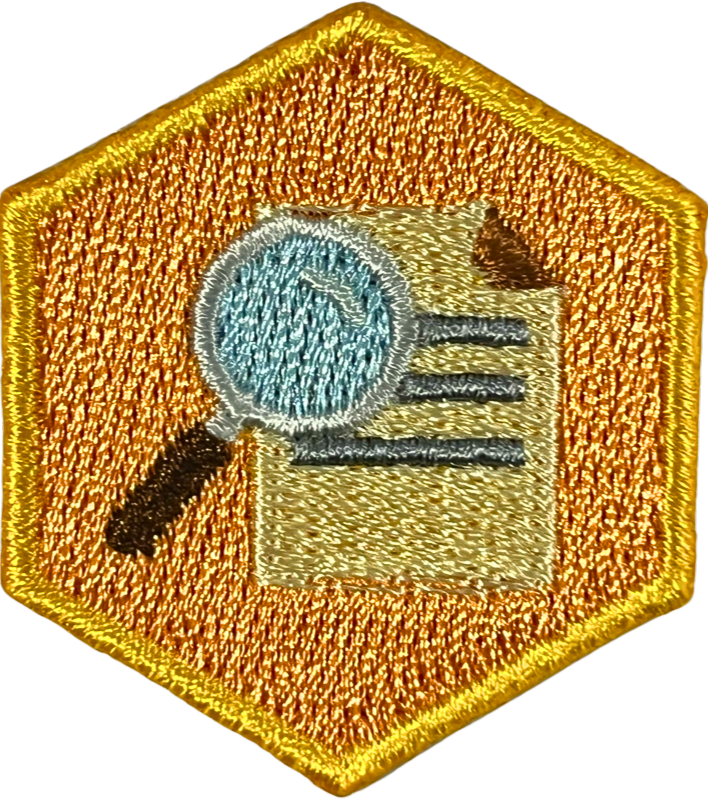 Investigative Journalism